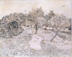Olivos en Montmajour de Vincent van Gogh