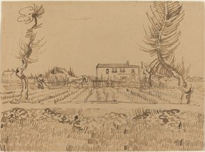 Campesino en los campos cerca de Arles, 1888 de Vincent van Gogh
