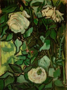 Rosas y un Escarabajo