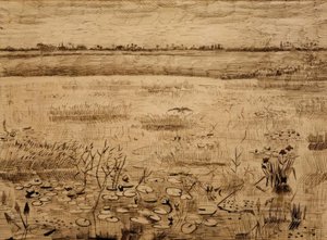 Paisaje pantanoso con lirios de agua de Vincent van Gogh