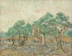 El Olivar, 1889 de Vincent van Gogh