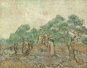 El huerto de olivos, 1889 de Vincent van Gogh