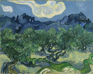 Los olivos