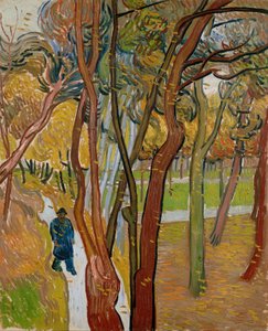 de Vincent van Gogh