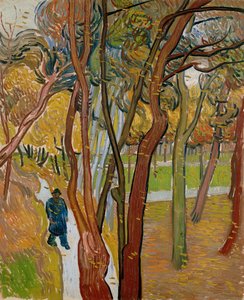 El jardín del Hospital de Saint Paul La caída de las hojas, 1889 de Vincent van Gogh
