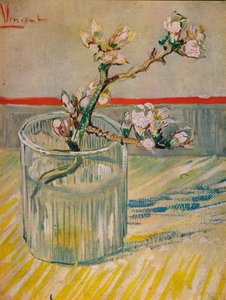 Rama florida de almendro, 1888 de Vincent van Gogh