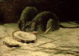 Dos ratas, c.1884 de Vincent van Gogh