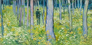  de Vincent van Gogh