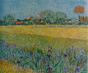 Vista de Ales con lirios en flor, 1888 de Vincent van Gogh