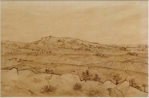 Vista de la Crau de Vincent van Gogh