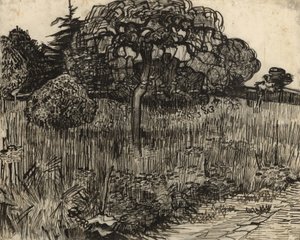 Árbol llorón, 1889 de Vincent van Gogh