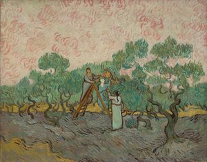 Mujeres recogiendo aceitunas, 1889 de Vincent van Gogh