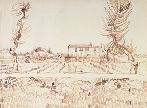 Trabajando en los campos de Arles, 1888 de Vincent van Gogh