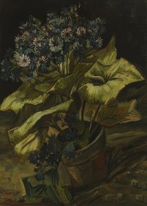 Cinerarias de Vincent van Gogh