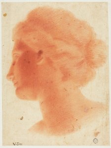 Cabeza de Venus de Médicis