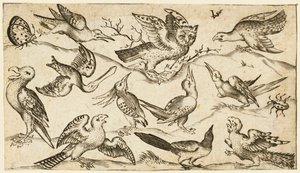 Once pájaros y dos insectos en un suelo mínimo con un búho con las alas extendidas de Virgil Solis