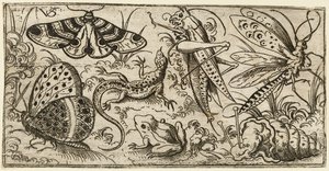 Grupo de insectos y animales en un suelo llano con hierba..., 1530 - 1562
