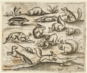 Grupo de pequeñas criaturas del bosque comiendo y corriendo alrededor de un estanque, incluyendo un ratón, 1557
