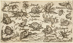 Insectos, reptiles, caracoles y peces en un terreno mínimo con agua en primer plano de Virgil Solis