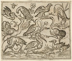 Avestruz en el lado izquierdo con otras nueve aves, incluyendo una garza y un pelícano..., 1557 de Virgil Solis