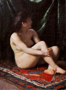 Desnudo, c.1865-68 (óleo sobre lienzo)