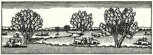 Ilustración de Tess Of The D