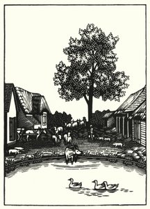 Ilustración para Tess Of The D