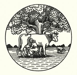Ilustración para Tess Of The D
