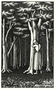 Ilustración para Tess Of The D