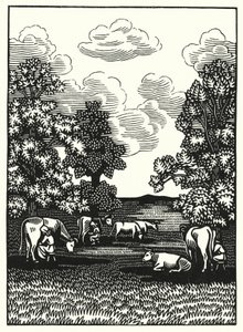 Ilustración para Tess de los d