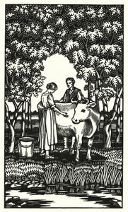 Ilustración para Tess de los d
