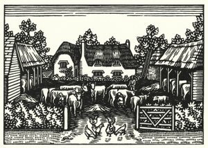 Ilustración de Tess de los D