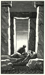 Ilustración para Tess de los d
