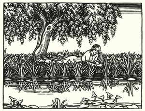 Ilustración para Tess de los d