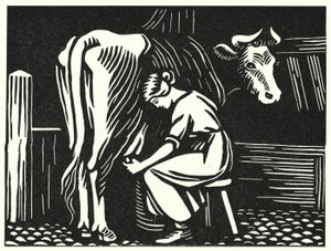 Ilustración para Tess de los d