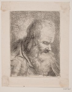 Viejo barbudo, retrato de busto