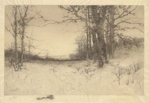 Pleno invierno