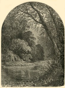 Islas de musgo, en el Juniata, 1874 de W.H. Morse