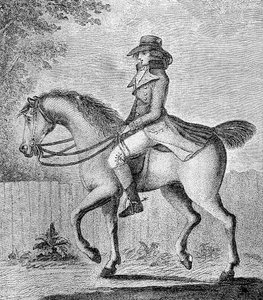 La noción equivocada de W. Dickinson