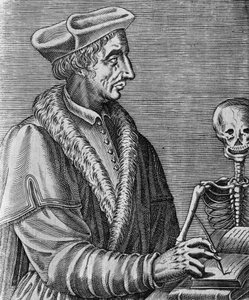 Retrato de Jean Francois Fernel (1497-1558), médico, astrónomo y matemático francés, grabado por Nicolas II de Larmessin (ca 1638-1694) de John Ward Dunsmore