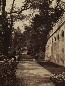 Orangery and Flower Garden at Singleton, Glamorganshire de W. Graham Vivian