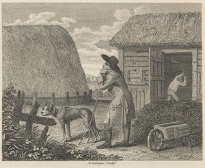 La cebada segada y el Dunghil