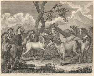 El Consejo de los Caballos de W. Grainger