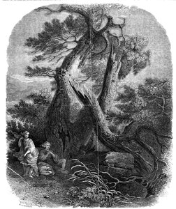 Especimen de grabado en madera, La muerte de los hijos de Niobe de W. J. Linton