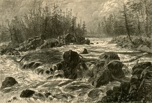 Las Dalles de St. Louis, 1874 de W. J. Linton