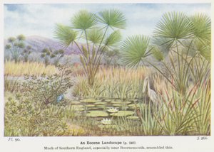 Un paisaje del Eoceno (litografía en color) de W. J. Stokoe