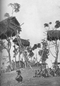 Dobos, casas en los árboles para mujeres solteras en Melanesia, 1902 de W. Lindt