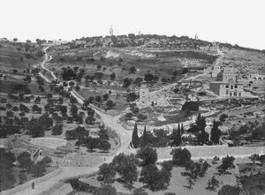 Monte de los Olivos, Jerusalén, Palestina, 1895 de W and S Ltd
