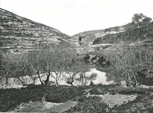 El estanque de Siloé, Jerusalén, Palestina, 1895 de W and S Ltd