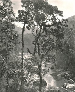 Vista del río Kelani, Kurunegala, Ceilán, 1895